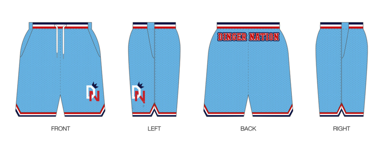 Custom Retro Mesh Shorts