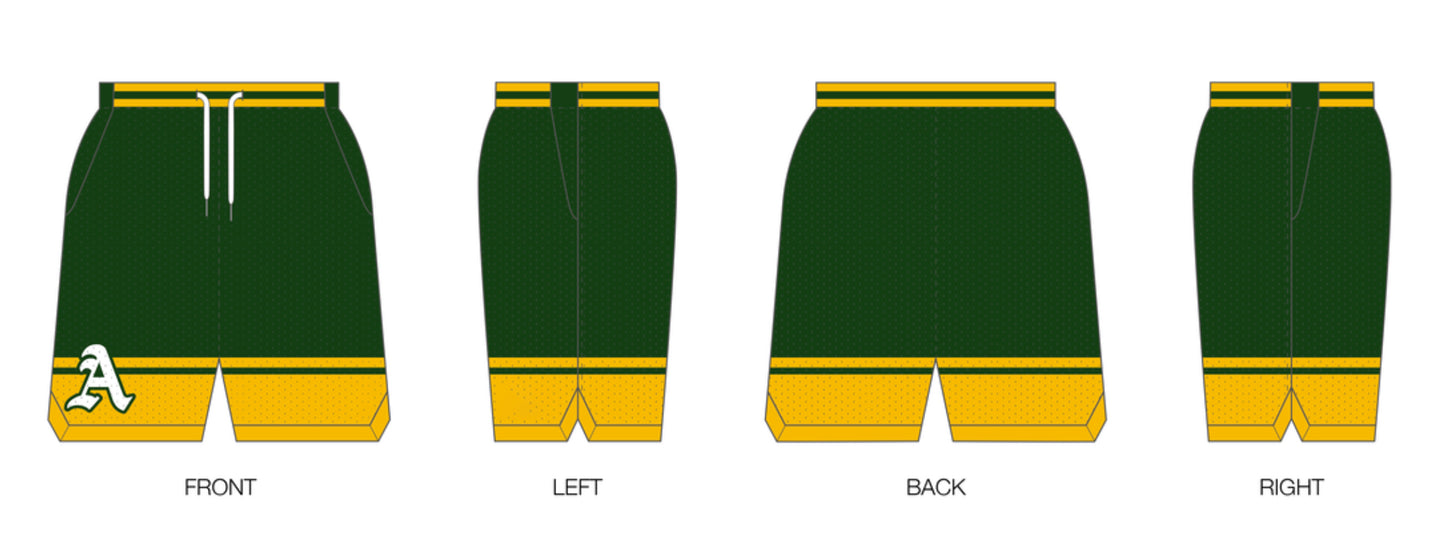 Custom Retro Mesh Shorts